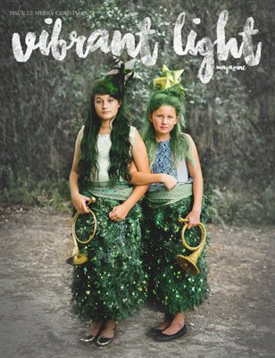 Vibrant Light Magazine: Issue 22 / Happy Holidays