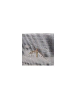 Window Mosquito Net Supplier 