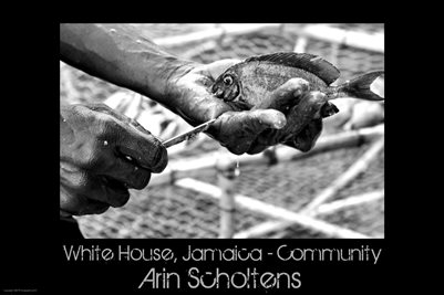 Jamaica Poster Black