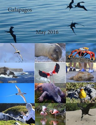 Galapagos