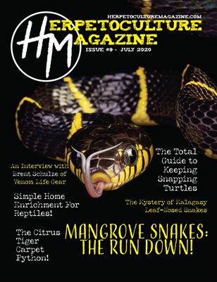 Issue #9 - July 2020