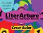 LiterArture