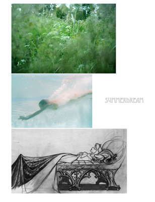 Picture Stories, Volume 7: Summerdream