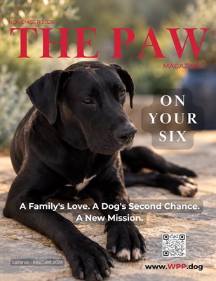 The PAW© - November 2016