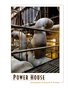 Power House