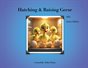 Hatching & Raising Geese