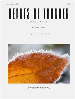 Hearts of Thunder, Volume 1 Issue 1