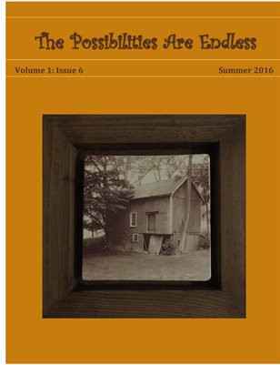 The Possibilities are Endless - Summer 2016