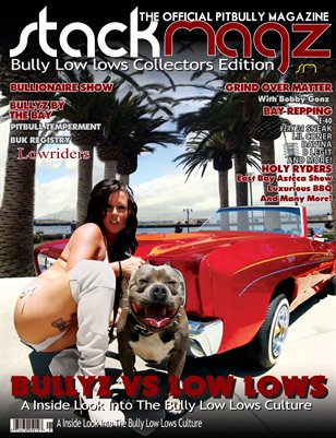 New Publication
