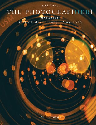 Publication preview