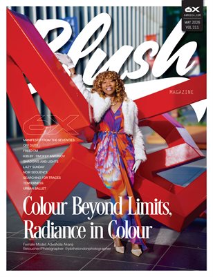 Publication preview