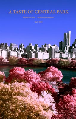 A Taste of Central Park