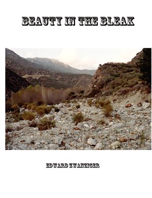 New Publication (3)