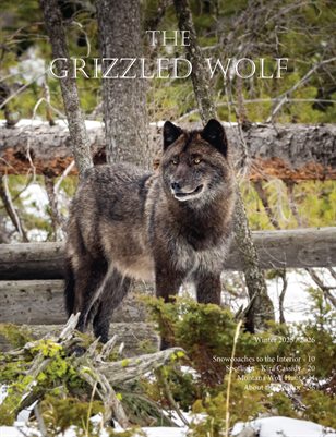 Winter 2025/2026 Single