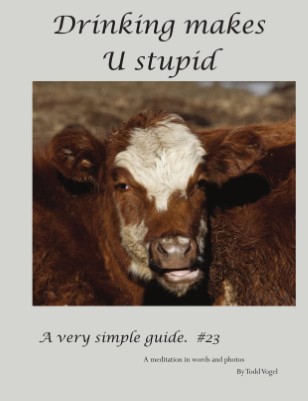 Drinking makes U Stupid