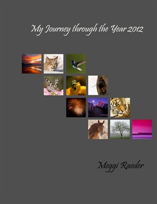A Photographer's Journey through the Year 2012