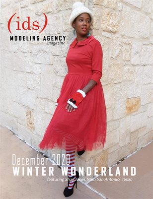 Dec 2020 Winter Wonderland US