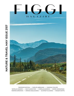 Publication preview