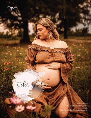 Issue #250 Open Theme