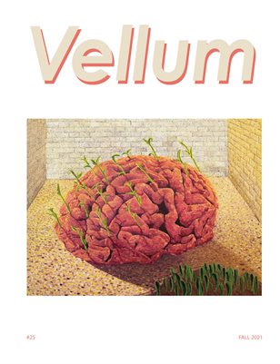 Vellum 25*  