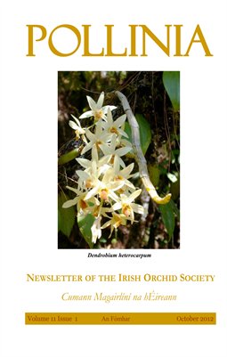 Pollinia | The Irish Orchid Society Quarterly | October 2012 