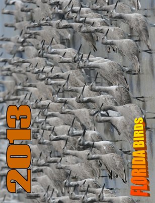 2013 FLORIDA BIRDS