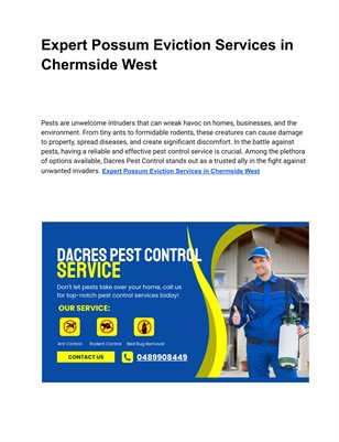 Expert Possum Eviction Services in Chermside West