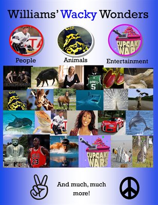 Williams' Wacky Wonders