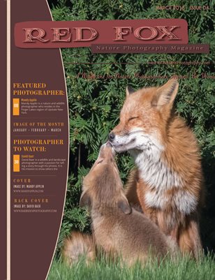 Issue 04: Spring 2019 - Red Fox Nature Photography Magzine