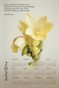 2022 Calendar - Proverbs 3:5,6 - Freesia