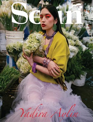 Publication preview