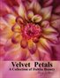 Velvet Petals