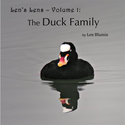 Publication preview