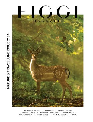 Publication preview