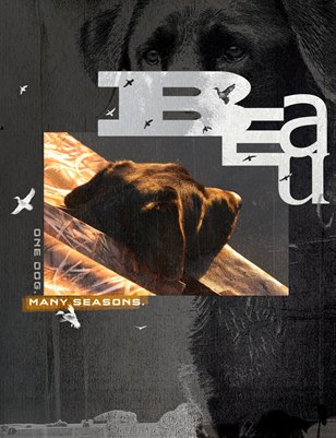 One Dog. Many Seasons.