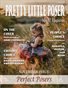 Pretty Little Poser Model Magazine - Issue 203 - Perfect Posers - November 2022