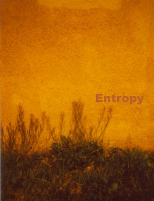 Entropy