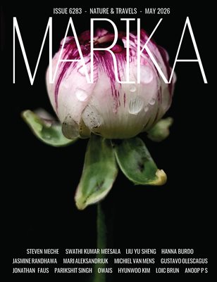 Publication preview