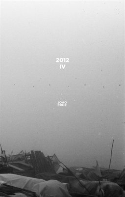 Diaries | 2012 | IV