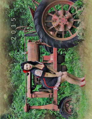 2015 PINUP CALENDAR SASHA