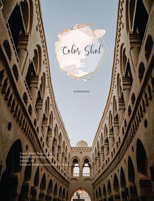 Issue #4 - Architecture 