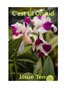 C'est La Orchid Issue Ten