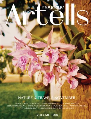 ARTELLS MAGAZINE - NATURE & TRAVELS NOVEMBER (Vol 3708)