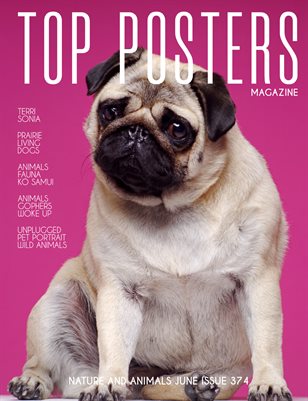  TOP POSTERS MAGAZINE- NATURE AND ANIMALS (Vol 374)