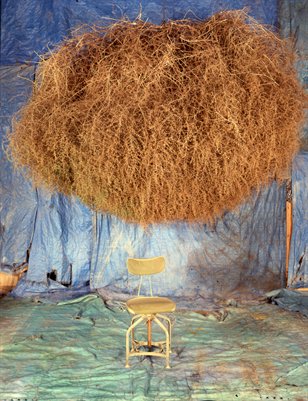 Tumbleweeds and Stuff