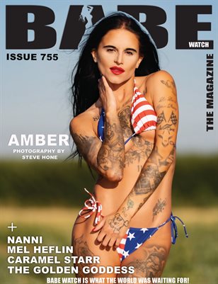 Publication preview