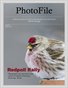 PhotoFile #2 - Redpoll Rally