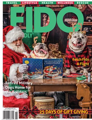 FIDO Friendly Fall/Winter 2020