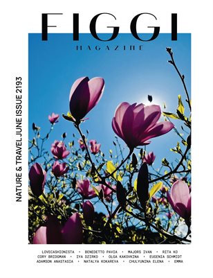 Publication preview
