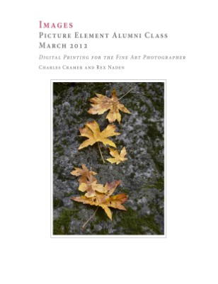 Publication preview